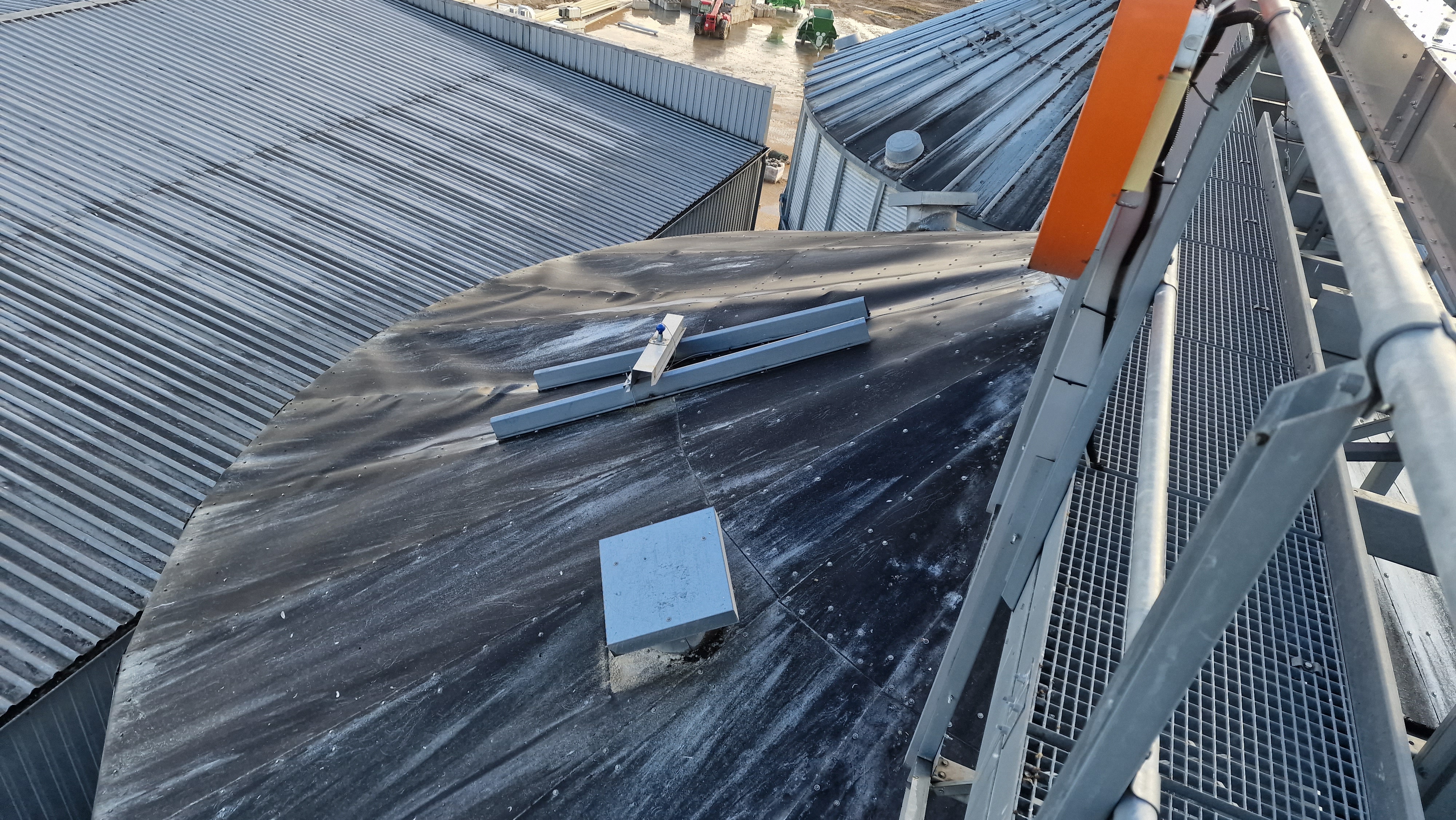 Dynamic Content Image